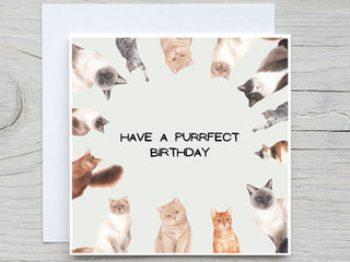 personalised Birthday Card, Funny Birthday card, Happy Birthday card,  Purrfect Birthday, cat lover birthday, cat birthday card