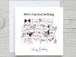Birthday Card, Birthday greeting card, Cat Card, Cute Birthday card, cat lover card