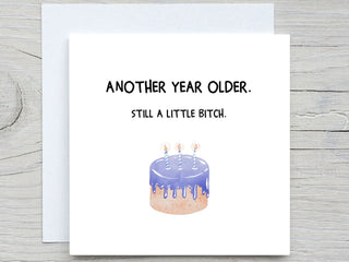 Funny Birthday card, Another year older card card, little bitch card, for friend card,