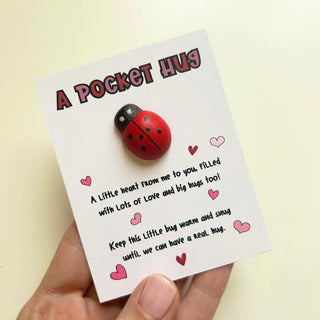 Valentines day Pocket Hug, Postal Hug, Long distance gift, Cute Ladybug , Romantic postal gift, birthday gift, pocket gift, hug gift